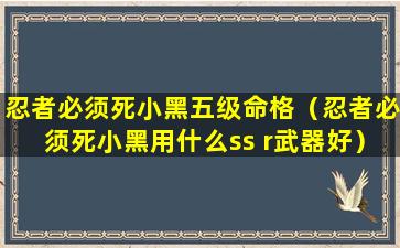 忍者必须死小黑五级命格（忍者必须死小黑用什么ss r武器好）